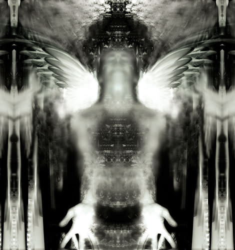 fantastic angel, getty image dv310031 (RF)